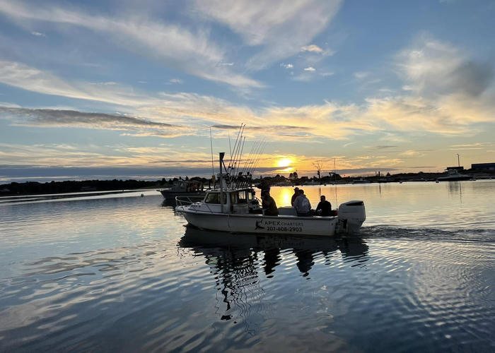Mindful Building team in fishing boat